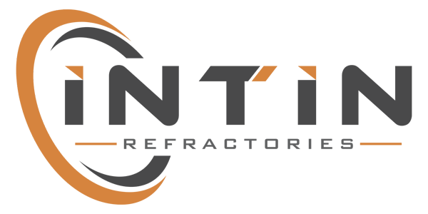 Logo_INTIN
